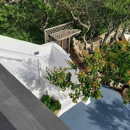 Paradise House In Village
